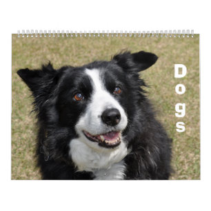 Dogs Calendar