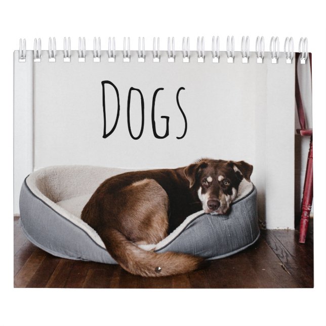Dogs Calendar (Cover)