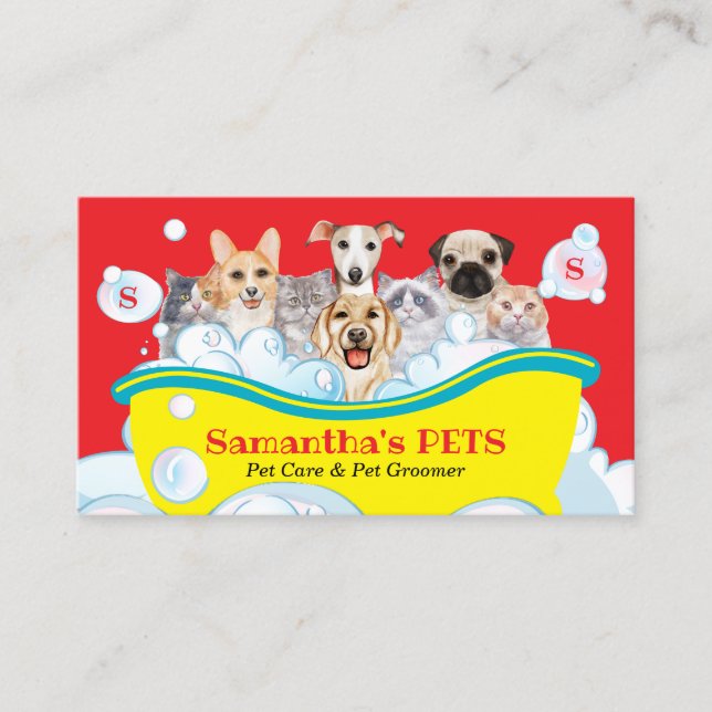 Dogs Cats Spa Sitter Groom PetCare Bath orange Business Card (Front)