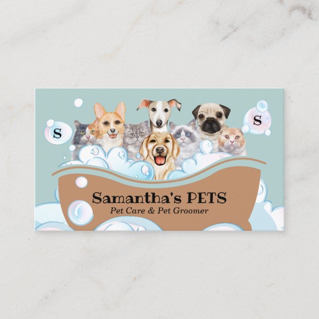 Dogs Cats Spa Sitter Groomer petCare Bathing Business Card (Front)