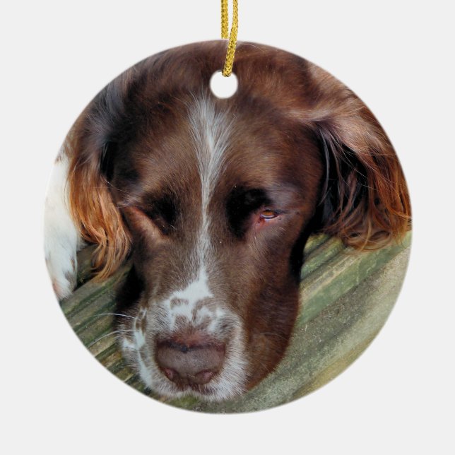 DOGS CERAMIC TREE DECORATION (Front)