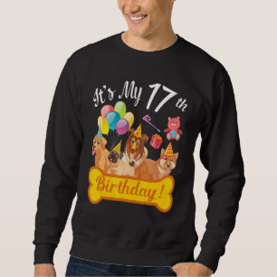 Dogs Dancing Together It's My 17th Birthday Happy Sweatshirt