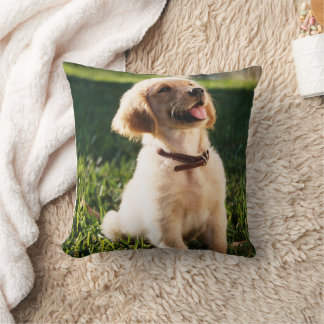 Dogs design decorative cushion