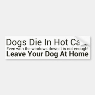 Dogs Die In Hot Cars Bumper Sticker