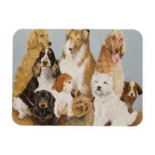 Dogs' Dinner Magnet