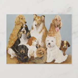 Dogs' Dinner Postcard