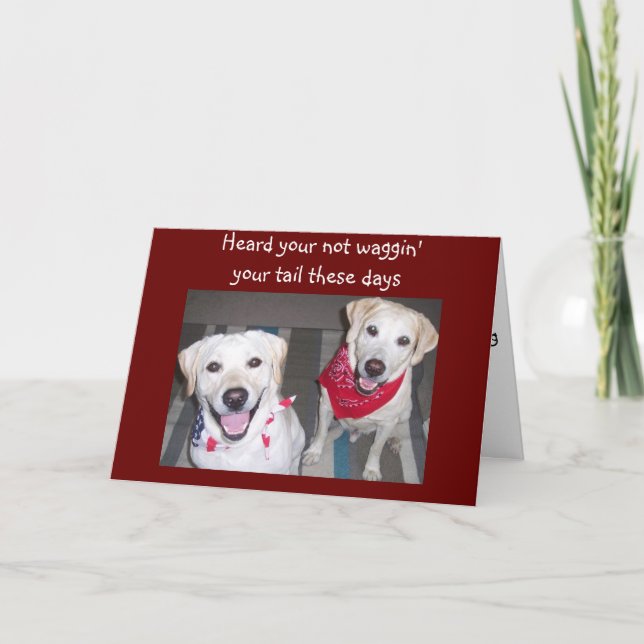 DOGS ENCOURAGES GETTING WELL CARD (Front)