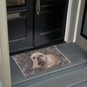 Dogs, english bulldogge, grim looking doormat