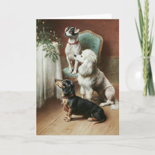 Dogs Experience the Wonder of Christmas, Holiday Card