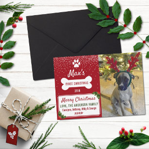 Dog's First Christmas Custom Photo Holiday Card