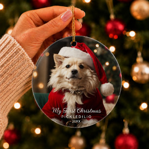 Dog's First Christmas Photo Ornament