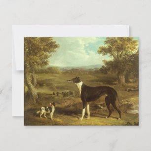 Dogs, Greyhound and Spaniel, Doctor Fop by Herring