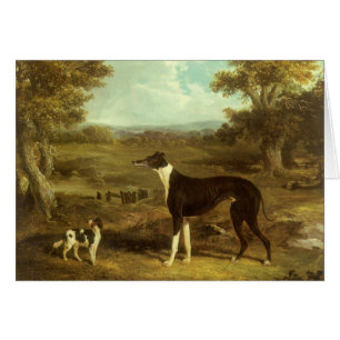 Dogs, Greyhound and Spaniel, Doctor Fop by Herring