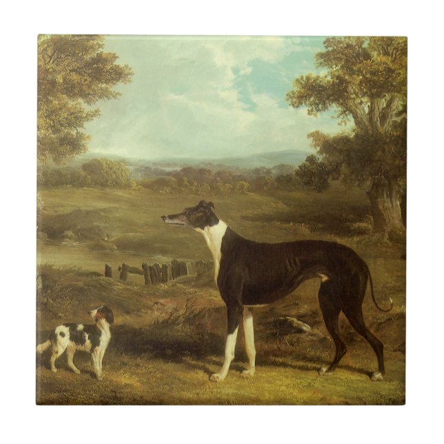 Dogs, Greyhound and Spaniel, Doctor Fop by Herring Ceramic Tile (Front)