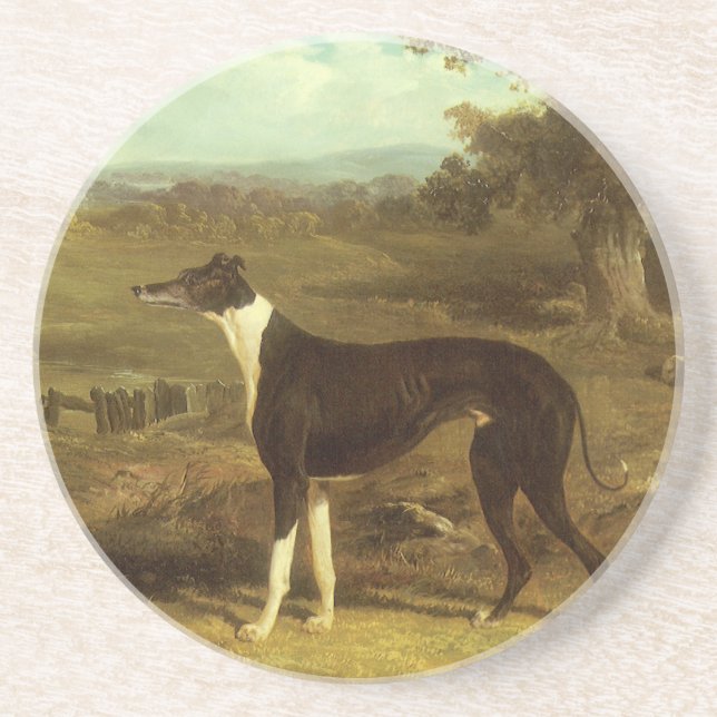 Dogs, Greyhound and Spaniel, Doctor Fop by Herring Coaster (Front)