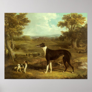 Dogs, Greyhound and Spaniel, Doctor Fop by Herring Poster
