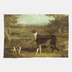 Dogs, Greyhound and Spaniel, Doctor Fop by Herring Tea Towel