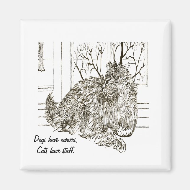 Dogs have owners, cat have staff magnet (Front)