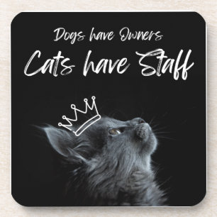 Dogs have Owners, Cats Have Staff Coaster