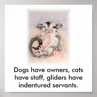 Dogs have owners, cats have staff, glider... poster