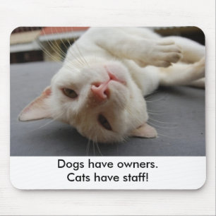"Dogs have owners.Cats have staff." Mousepad