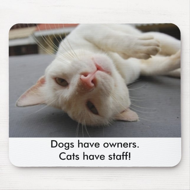 "Dogs have owners.Cats have staff." Mousepad (Front)