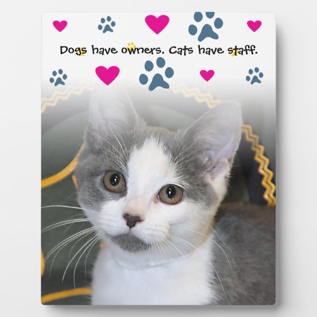 Dogs Have Owners-Cats Have Staff Plaque (Front)