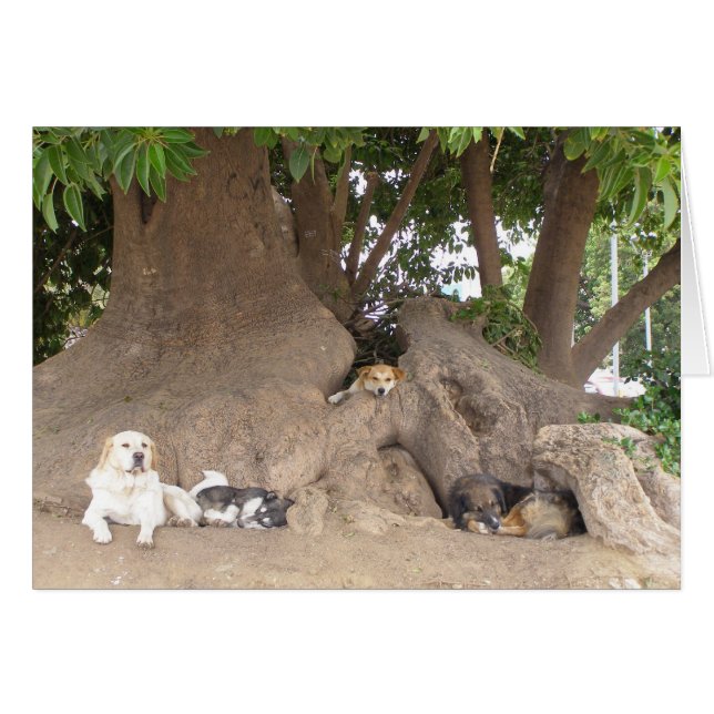 Dogs in a tree (Front Horizontal)