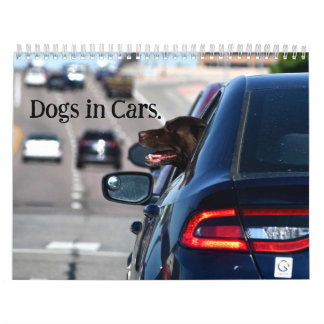 Dogs in Cars Calendar
