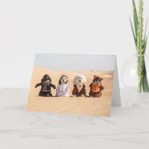 Dogs in Costumes Card