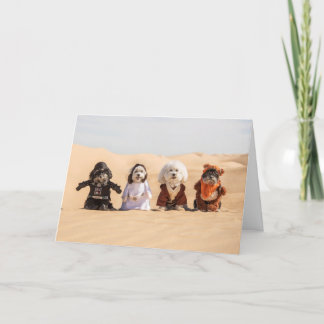 Dogs in Costumes Card