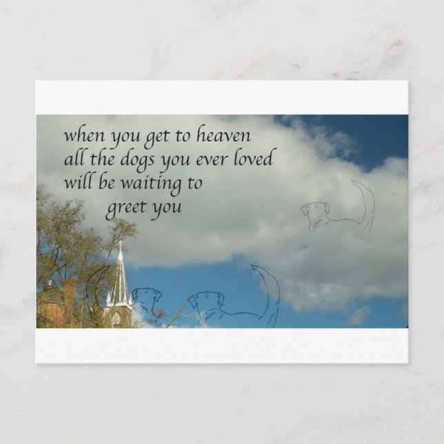 Dogs in Heaven Postcard (Front)