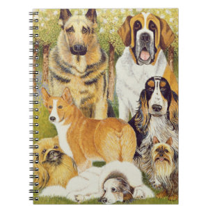 Dogs in May Notebook