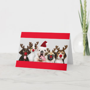 DOGS IN REINDEER COSTUME CUSTOM Greeting Card
