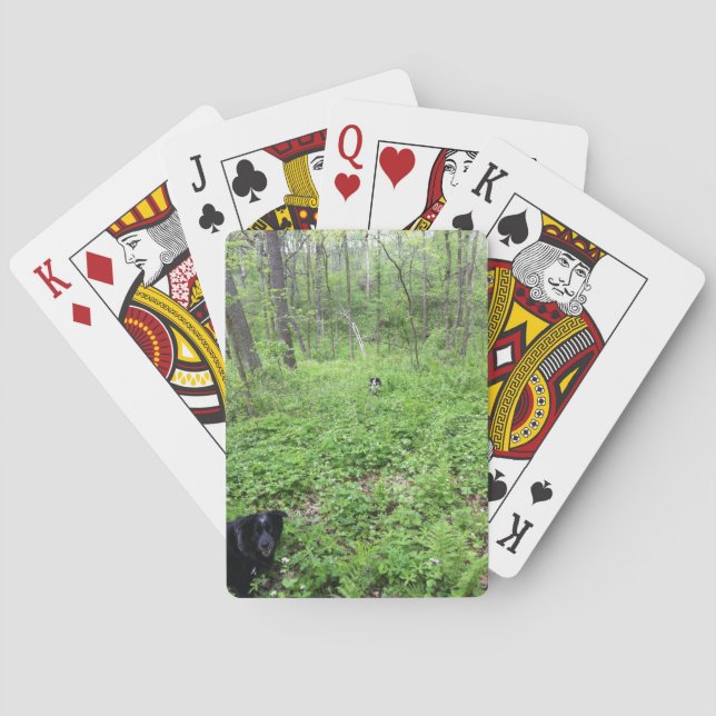 Dogs in the Woods Playing Cards (Back)