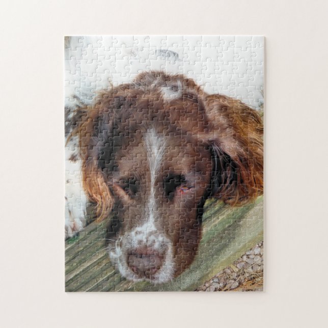 DOGS JIGSAW PUZZLE (Vertical)