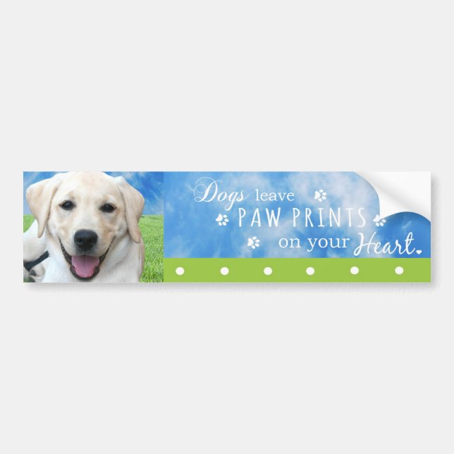 Dogs leave paw prints on your heart bumper sticker (Front)