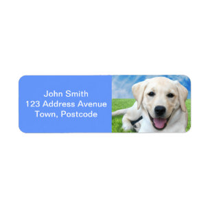 Dogs leave paw prints on your heart return address label