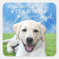 Dogs leave paw prints on your heart