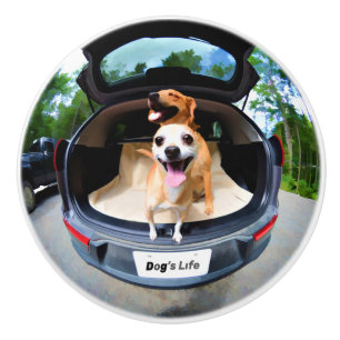 Dog's Life Fish-eye Lens Cute Funny Ceramic Knob