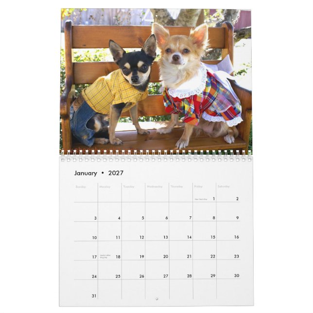 Dogs Living As Humans by Sherial Vaughn Calendar (Jan 2027)