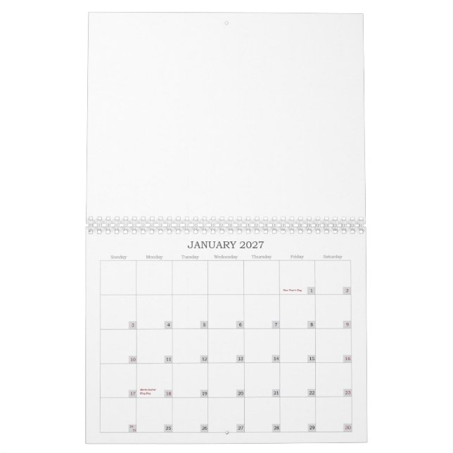 dogs looking away, The World's Best Dachshunds Calendar (Jan 2027)