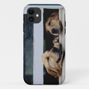 Dogs Looking Out a Window iPhone 11 Case