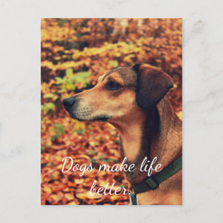 DOGS MAKE LIFE BETTER Postcard for dogs lovers