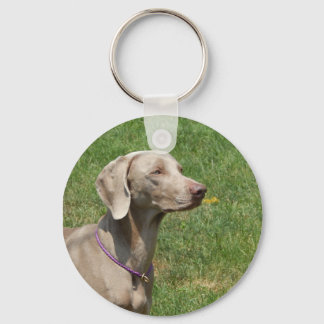 Dogs make our lives whole - Weimaraner Key Ring