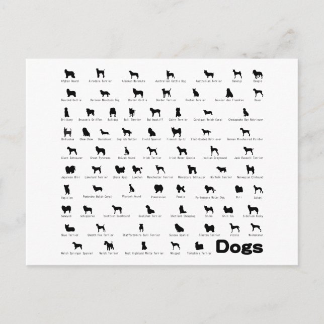 Dogs Name Postcard (Front)