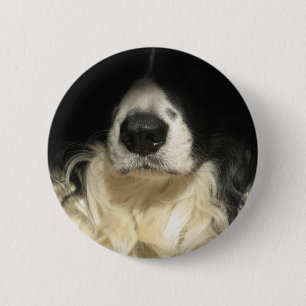 Dog's nose close up 6 cm round badge