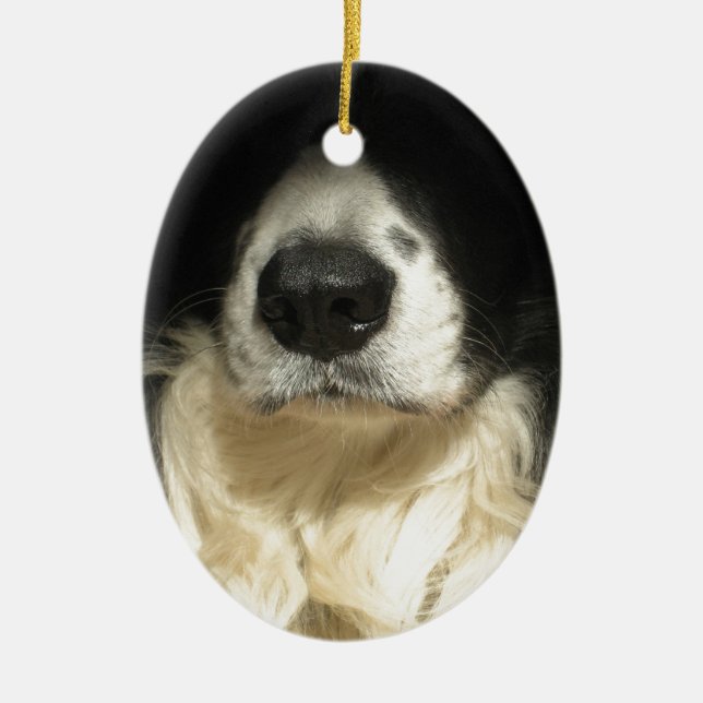 Dog's nose close up ceramic ornament (Front)
