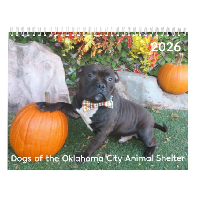 Dogs of the Oklahoma City Animal Shelter Calendar (Cover)
