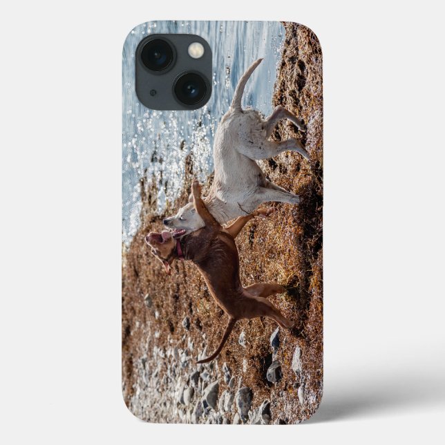 Dogs on beach Case-Mate iPhone case (Back)
